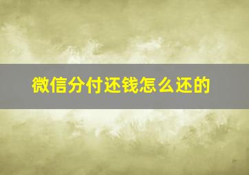 微信分付还钱怎么还的