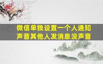 微信单独设置一个人通知声音其他人发消息没声音