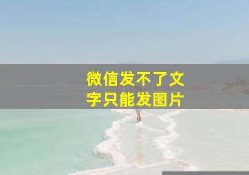 微信发不了文字只能发图片