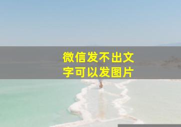 微信发不出文字可以发图片