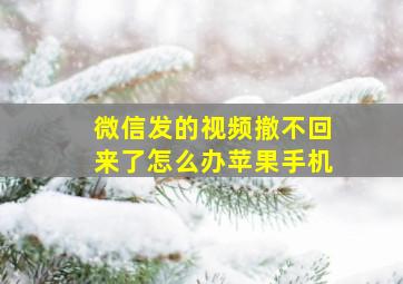 微信发的视频撤不回来了怎么办苹果手机