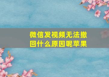 微信发视频无法撤回什么原因呢苹果