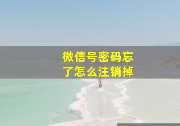 微信号密码忘了怎么注销掉