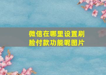 微信在哪里设置刷脸付款功能呢图片