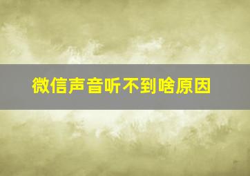 微信声音听不到啥原因