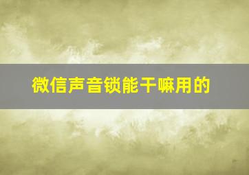 微信声音锁能干嘛用的