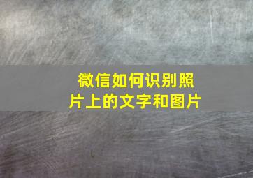 微信如何识别照片上的文字和图片