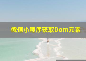 微信小程序获取Dom元素