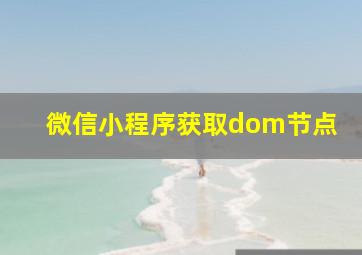 微信小程序获取dom节点