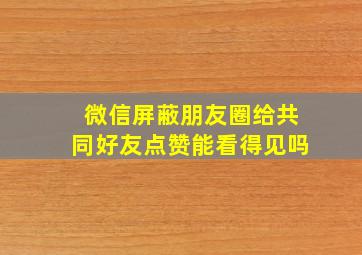 微信屏蔽朋友圈给共同好友点赞能看得见吗