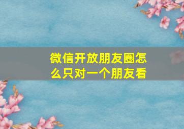 微信开放朋友圈怎么只对一个朋友看