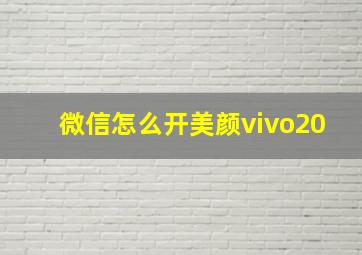 微信怎么开美颜vivo20