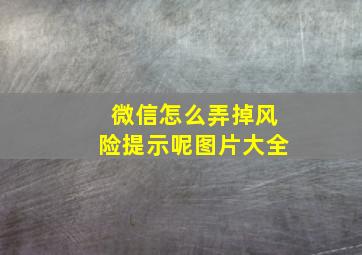 微信怎么弄掉风险提示呢图片大全