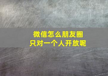 微信怎么朋友圈只对一个人开放呢