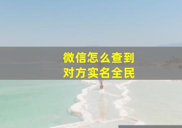 微信怎么查到对方实名全民