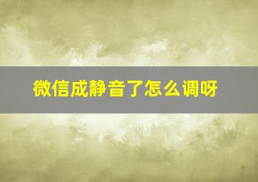 微信成静音了怎么调呀