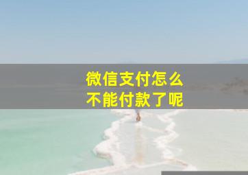 微信支付怎么不能付款了呢