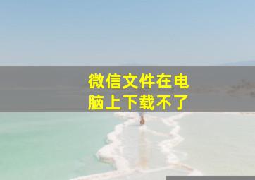 微信文件在电脑上下载不了