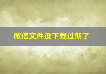 微信文件没下载过期了