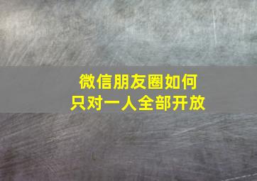 微信朋友圈如何只对一人全部开放