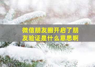 微信朋友圈开启了朋友验证是什么意思啊