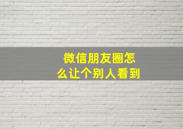 微信朋友圈怎么让个别人看到