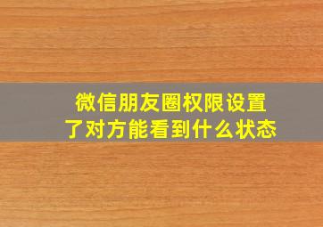 微信朋友圈权限设置了对方能看到什么状态