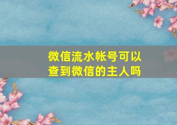 微信流水帐号可以查到微信的主人吗