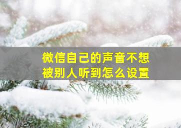 微信自己的声音不想被别人听到怎么设置