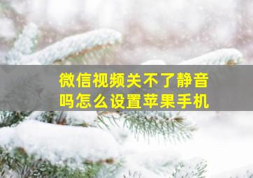 微信视频关不了静音吗怎么设置苹果手机