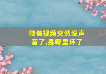 微信视频突然没声音了,是哪里坏了