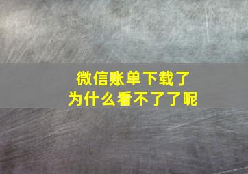 微信账单下载了为什么看不了了呢