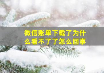 微信账单下载了为什么看不了了怎么回事