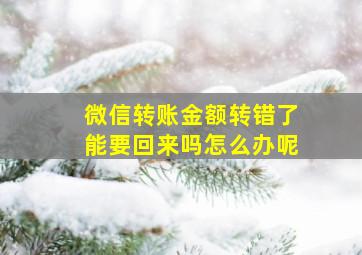 微信转账金额转错了能要回来吗怎么办呢