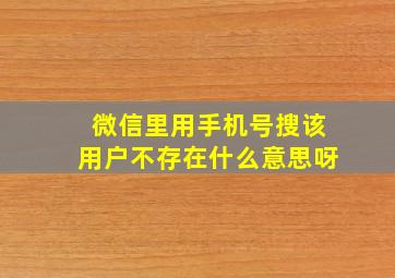 微信里用手机号搜该用户不存在什么意思呀