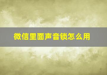 微信里面声音锁怎么用