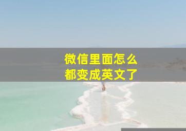 微信里面怎么都变成英文了