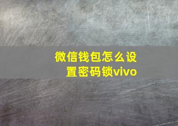 微信钱包怎么设置密码锁vivo