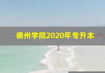 德州学院2020年专升本