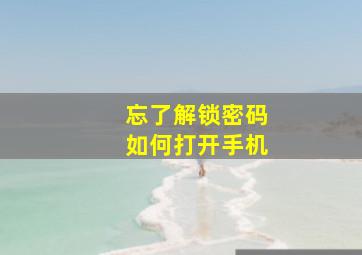 忘了解锁密码如何打开手机