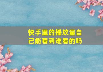 快手里的播放量自己能看到谁看的吗