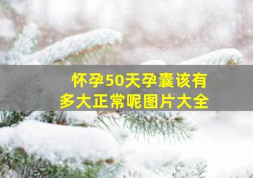 怀孕50天孕囊该有多大正常呢图片大全