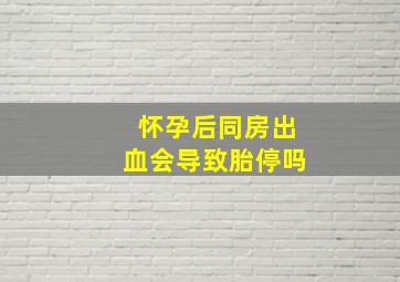 怀孕后同房出血会导致胎停吗