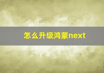 怎么升级鸿蒙next