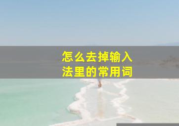 怎么去掉输入法里的常用词