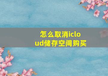 怎么取消icloud储存空间购买