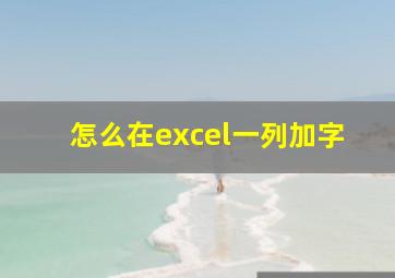 怎么在excel一列加字