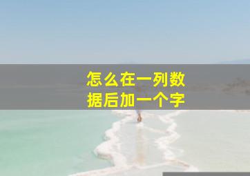 怎么在一列数据后加一个字