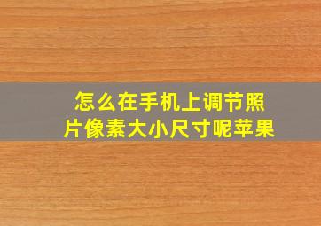 怎么在手机上调节照片像素大小尺寸呢苹果