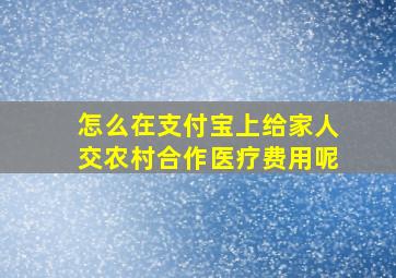 怎么在支付宝上给家人交农村合作医疗费用呢